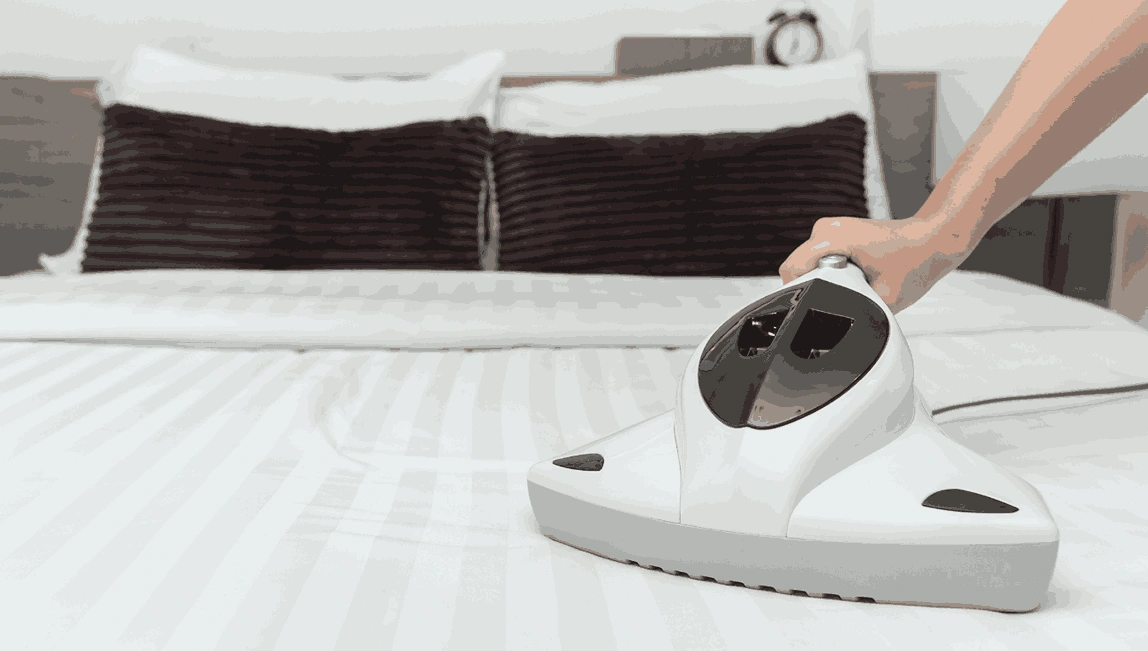 Professional Mattress Cleaning Red Hill South